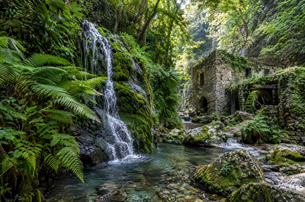Cascata nel bosco della Valle delle Ferriere